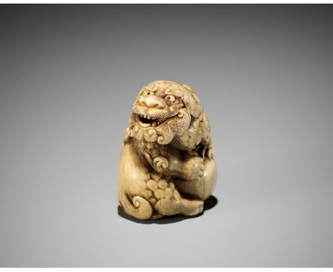 MITSUHARU: AN IVORY NETSUKE OF A SNARLING SHISHIBy Mitsuharu, signed Mitsuharu 光春Japan, Kyoto, late 18th to early 19th centur