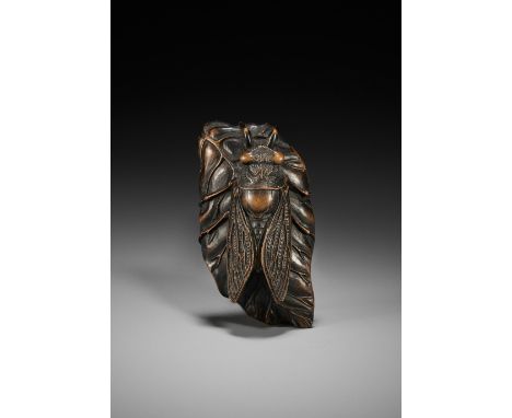 HARUMITSU: A SUPERB WOOD NETSUKE OF A CICADA ON A TARO LEAF WITH SNAILBy Harumitsu (Shunko), signed Harumitsu 春光Japan, Ise-Ya