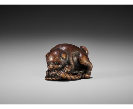 A WOOD NETSUKE OF A PUPPY PLAYING WITH A SANDAL, ATTRIBUTED TO KOKEIAttributed to Kokei, unsignedJapan, Kuwana, Ise Province,