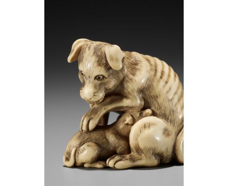 AN IVORY NETSUKE OF A DOG AND YOUNG, ATTRIBUTED TO OKATOMOAttributed to Yamaguchi Okatomo, unsignedJapan, Kyoto, late 18th ce