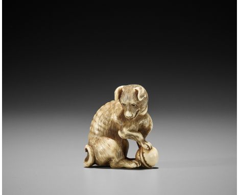 A GOOD KYOTO SCHOOL IVORY NETSUKE OF A DOG WITH KEMARI BALLAttributed to the workshop of Okatomo, unsignedJapan, Kyoto, c. 18