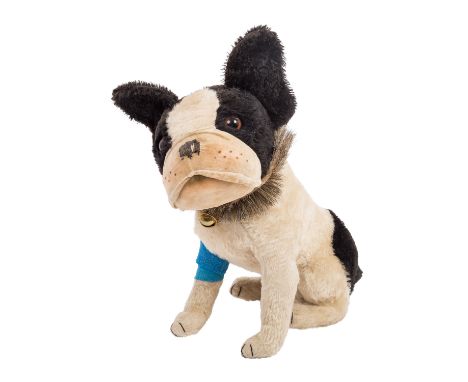 STEIFF Bulldogge "Bully", 1927-1936, sitzend, mit drehbarem Kopf, Mohairplüsch schwarz-/weiß, kein Knopf vorhanden, u.a. wurd