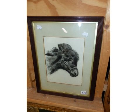 ADRIAN JOICEY (19th/20th.C.) PORTRAIT OF A DONKEY, SIGNED, DRAWING. 28 x 21cms