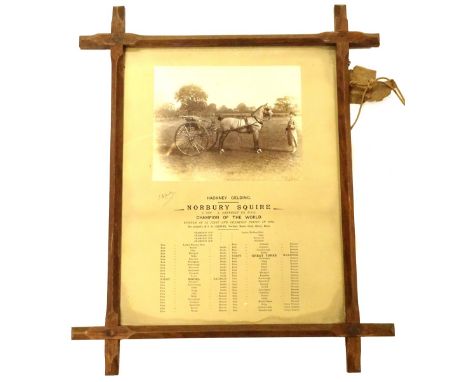 A photograph and print depicting the Hackney Gelding Norbury Squire, champion of the world winner of the first and champion p