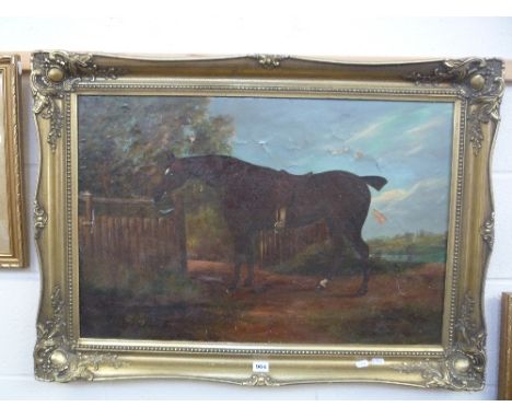 19TH CENTURY SCHOOL, Portrait of a brown horse, oil on canvas, 50cm x 75cm