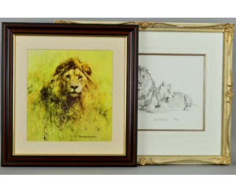 DAVID SHEPHERD (BRITISH 1931-2017) 'LIONS', a limited edition print 300/495, signed and numbered in pencil, with certificate,