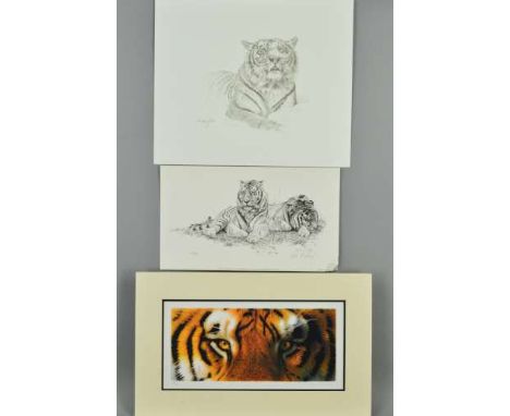 TWO LIMITED EDITION PRINTS OF TIGERS, to include 'Lazy Days' by Alan Hunt, 'Eye of the Tiger' by John Mould and an untitled T