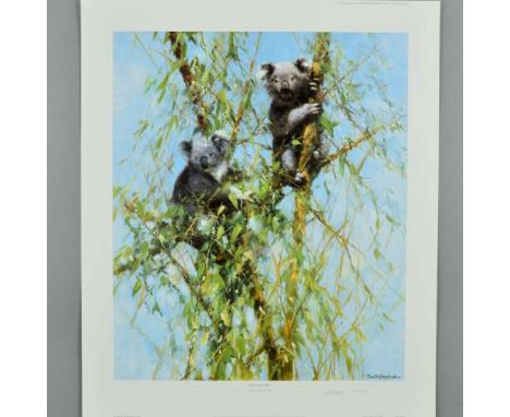 DAVID SHEPHERD (1931 - 2017) 'UP A GUM TREE', a limited edition print 143/950 of a Koala Bear in a Tree, signed and numbered 