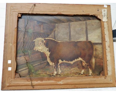 20th Century British:  oil on canvas of a Hereford bull, 20" x 26", the reverse bearing a framed portrait of Mrs Rye by K R L