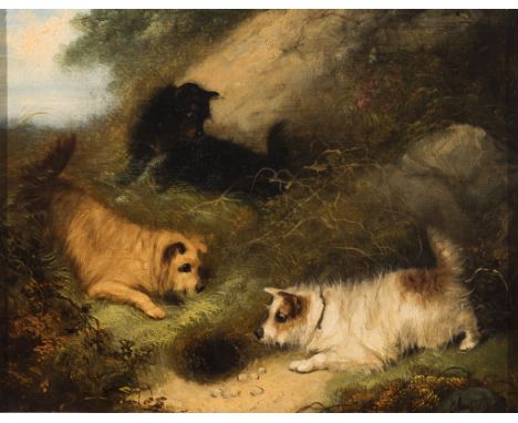   Englischer Maler des 19. Jh.   Undeutlich sign. Drei Hunde lauern vor einem Dachsbau. Öl/Lwd. 26 x 30,5 cm. R          