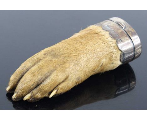 Attributed to Peter Spicer, a late Victorian taxidermy Otter (Lutra lutra) pad snuff-box, having a hinged silver mount, maker