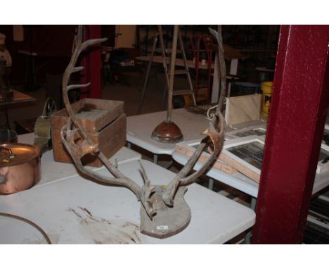 A set of antlers on shield shaped bracket  AF