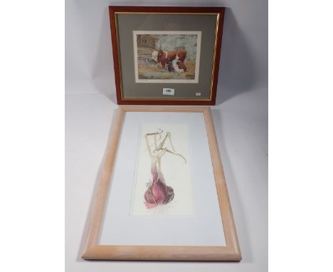 Neil Watwood - limited edition print of Herefordshire cattle in a barn and a coloured pencil sketch of an onion 