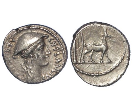 Roman Perublican silver denarius of Cn. Plancius, Rome Mint 55 B.C., Head of Macedonia right, wearing causia / cretian goat s