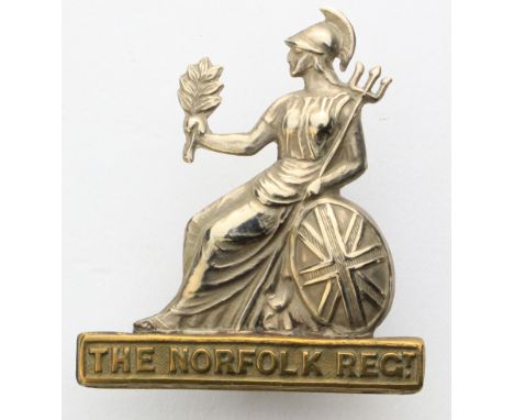 Norfolk Regt., unusual Bi-metal badge possibly  o/r 2 lugs to the reverse 