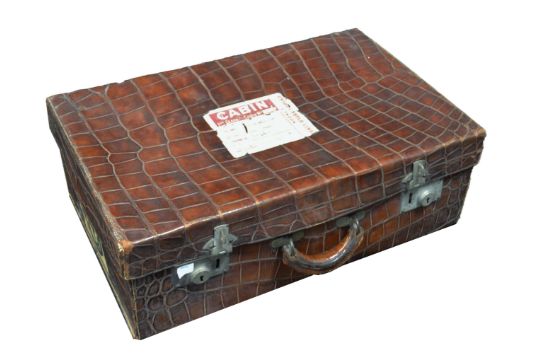 vintage crocodile suitcase