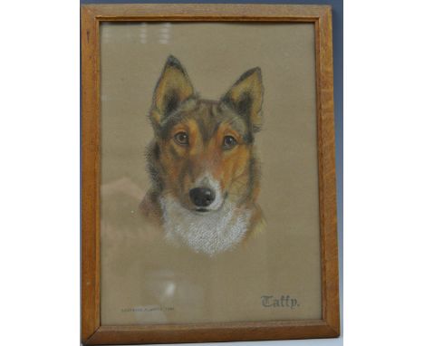 Beatrice M WhiteTaffy, Portrait of a Collie Dogsigned, inscribed and dated 1941, pastel, 37cm x 27cm