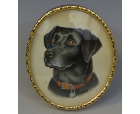 *M.E.R* 19th century (British School)portrait miniature of a black labrador watercolour,  gold coloured metal easel frame 