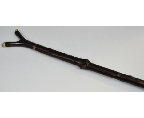 Walking Sticks - a blackthorn buffalo and raw horn thumb stick