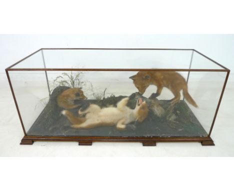 Taxidermy, three fox cubs playing on the forest floor in a five glass oak case, early 20th century, 102 by 44 by 42cm high.