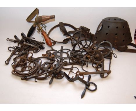 COLLECTION OF EARLY HORSE BITS AND OTHER EQUESTRIAN APPAREL, VINTAGE ITEMS, LEATHER  NOSE BAG, GROOMING TOOL ETC. 
