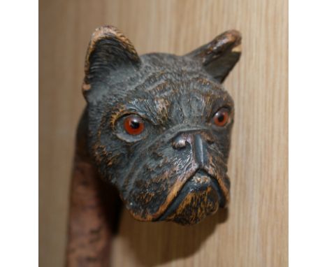 A 19th century walking stick the handle carved with the head of a boxer dog with glass eyes, length 36" (ear chipped)