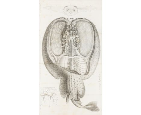 Matteucci (Carlo) Traité des Phénomènes Électro-Physiologiques des Animaux...suivi d'Études Anatomiques sur le Système Nerveu