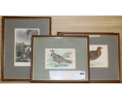 Four Victorian colour prints of gamebirds and two other hunting prints
