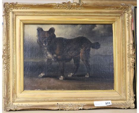 19th century English School, oil on canvas laid on card, portrait of a dog in a stormy landscape, 28 x 38cm