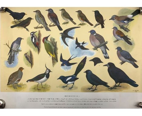 After H J Slyper (British 20th century): A collection of five (numbers 1-5) of the RSPB British Birds identification prints, 