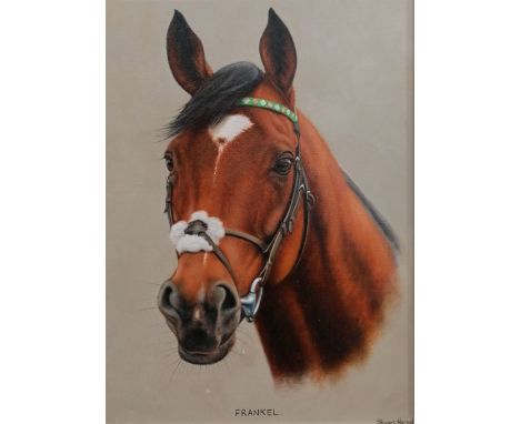 Stuart Herod (British 1961-): 'Frankel', head portrait of racing horse, oil on board signed, inscribed 2013 verso 29cm x 21cm