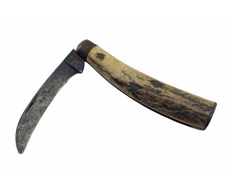 Early 20th century stag horn pruning knife by W. Saynor, Sheffield, L18.5cm when open