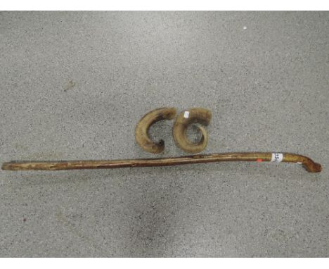 A walking stick and two rams horns