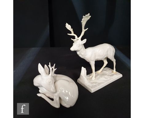 Two 20th Century Nymphenburg blanc de chine models of deer, the first a seated doe, model 424 curled with her head to her bac