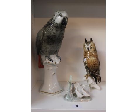 Karl Ens Parrot, Owl and a Nao group of Geese 