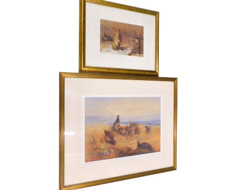 After Archibald Thorburn (1860-1935). Partridge, coloured limited edition print, number 426 of 850, 36cm x 49cm, and another 