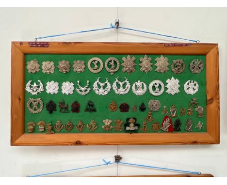 A framed display of Scottish Territorial and Irish regiment badges including Highland Light Infantry and Scottish Cadets 