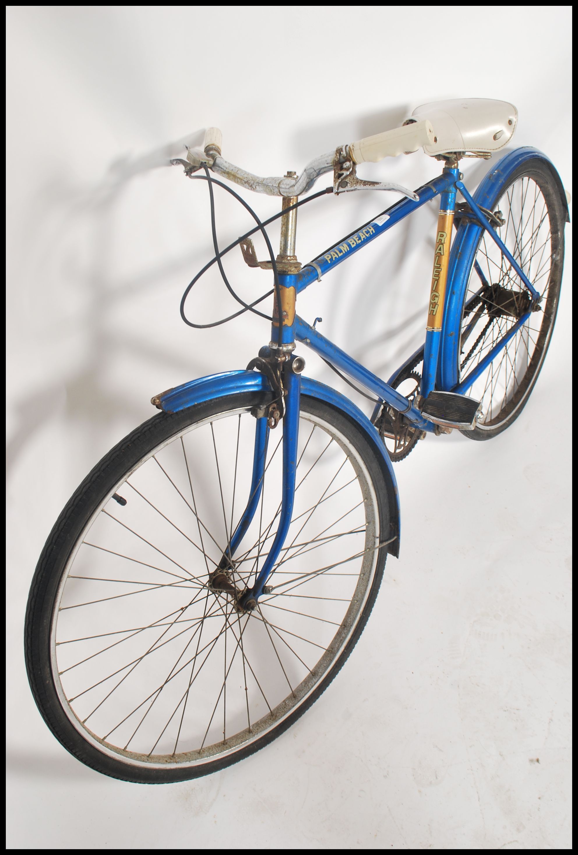 raleigh palm beach bike