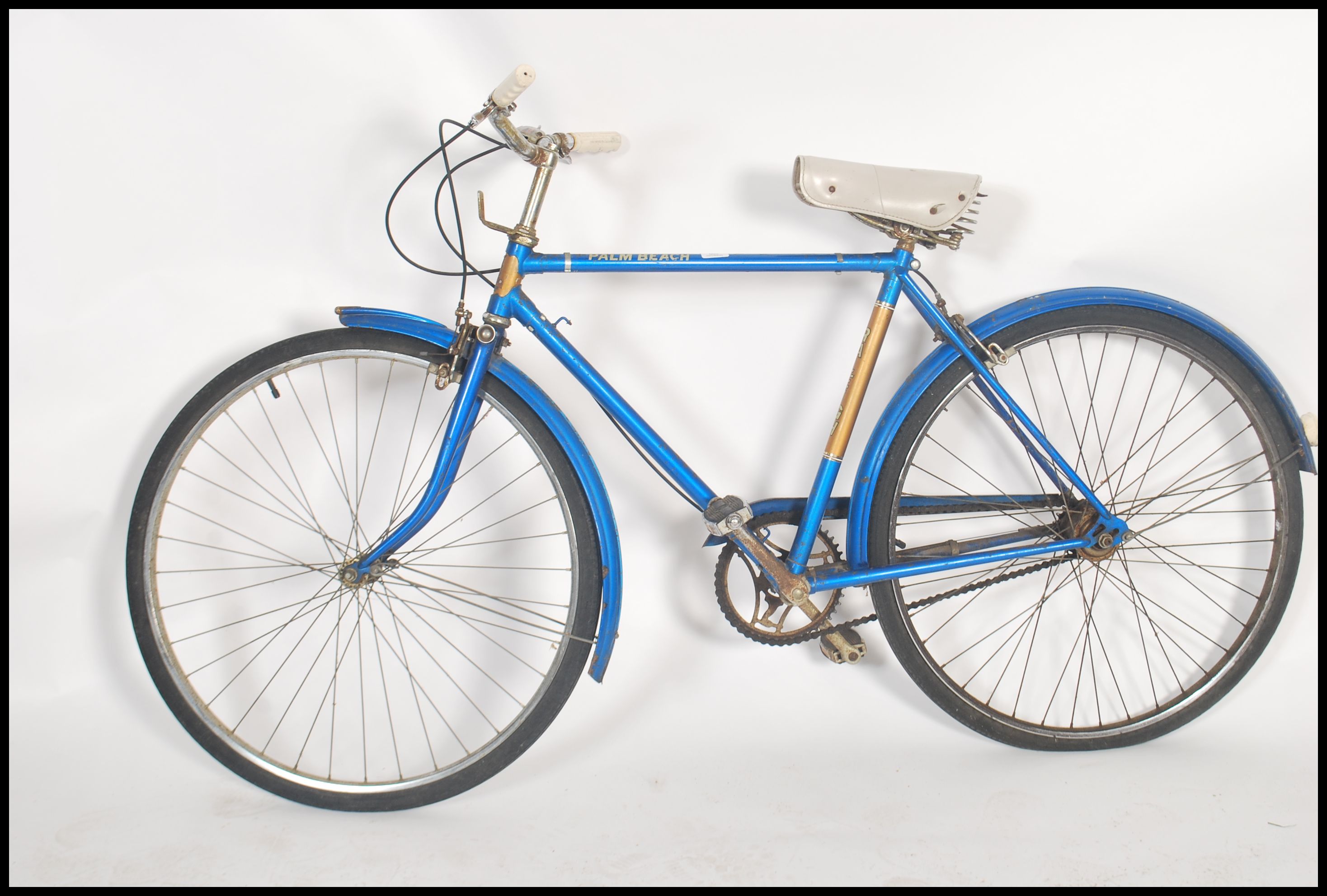 raleigh palm beach bicycle