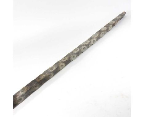 An antique wooden oyster stick or pole, with lime putty holes, 156cm long