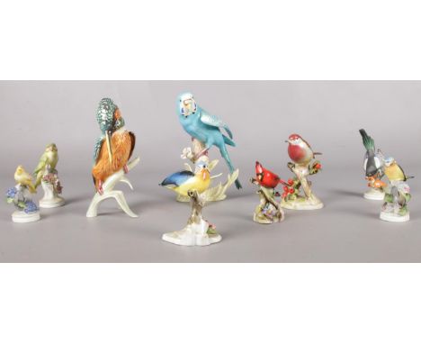 A collection of ceramic birds. Goebel Kingfisher &amp; Budgerigar, Royal Adderley Robin, Blue Tit, Cardinal etc  Repair to be