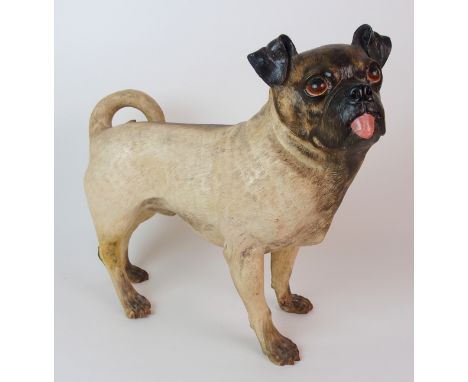 A Royal Worcester figure of a Pug depicted standing with tongue out, inset glass eyes, polychromed, impressed Worcester mark 