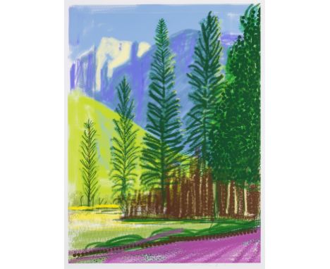 δ David Hockney (b.1937)Untitled No.12Ipad drawing printed in colours, 2010, signed, dated and numbered from the edition of 2