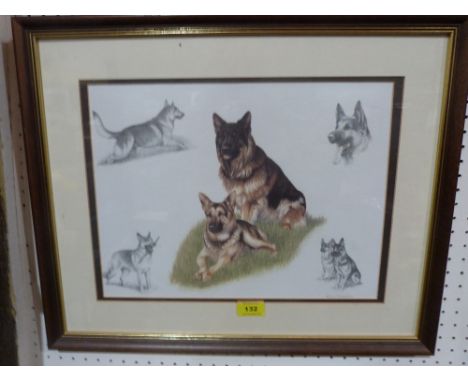 NIGEL HEMMING  German Shepherds. Fine Art print. 11 1/2' x 15'