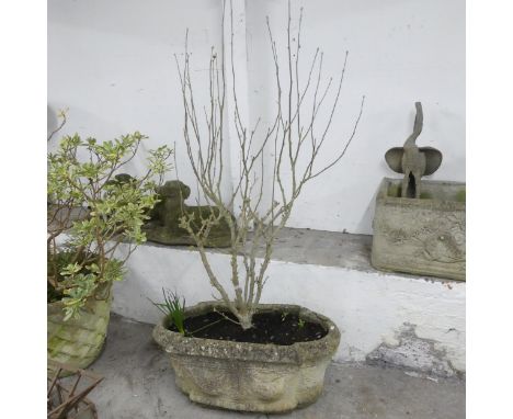 An antique weathered stone planter of shaped form. 82x38x43cm. 