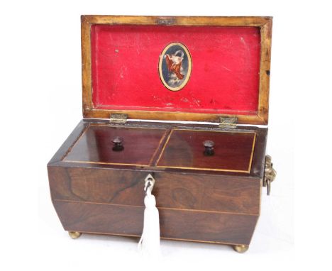 A Regency rosewood twin compartment tea caddy, of sarcophagus form, flanked by twin brass lion mask handles, and standing upo