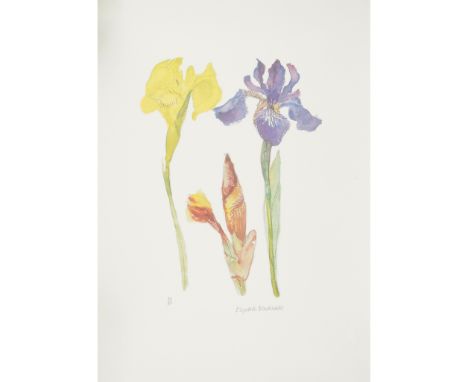 § ELIZABETH BLACKADDER O.B.E., R.A., R.S.A., R.S.W., R.G.I., D.Litt (SCOTTISH B.1931) IRISES Colour lithograph, 50/50, signed