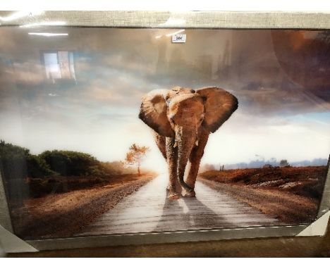 LARGE ELEPHANT PRINT (NEW) 120CM W