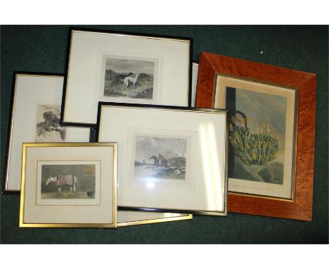 Four coloured sporting prints, coloured book plate depicting an agave plant, three portrait prints (8)