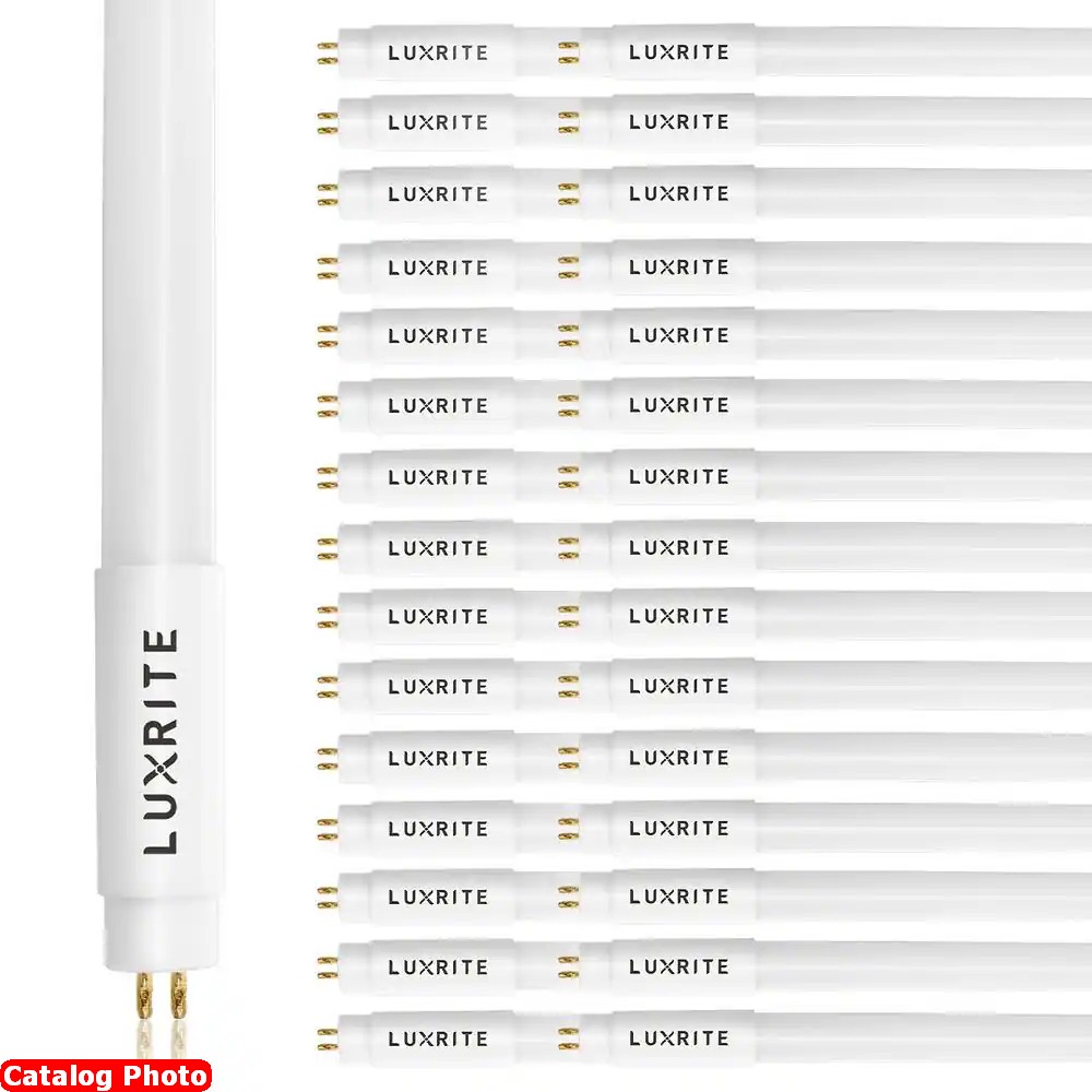 Lot 183